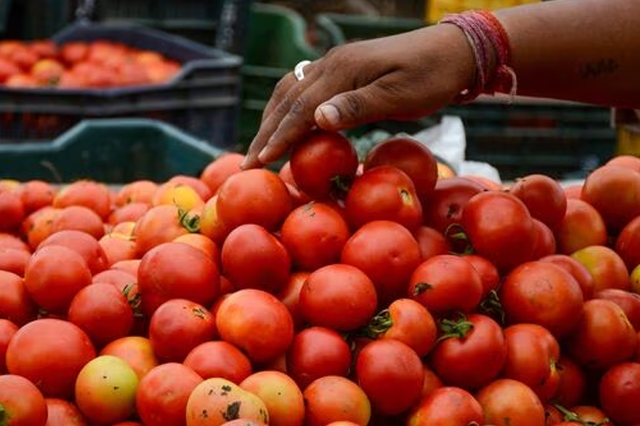 Pune Farmer became Crorepati by selling tomatoes