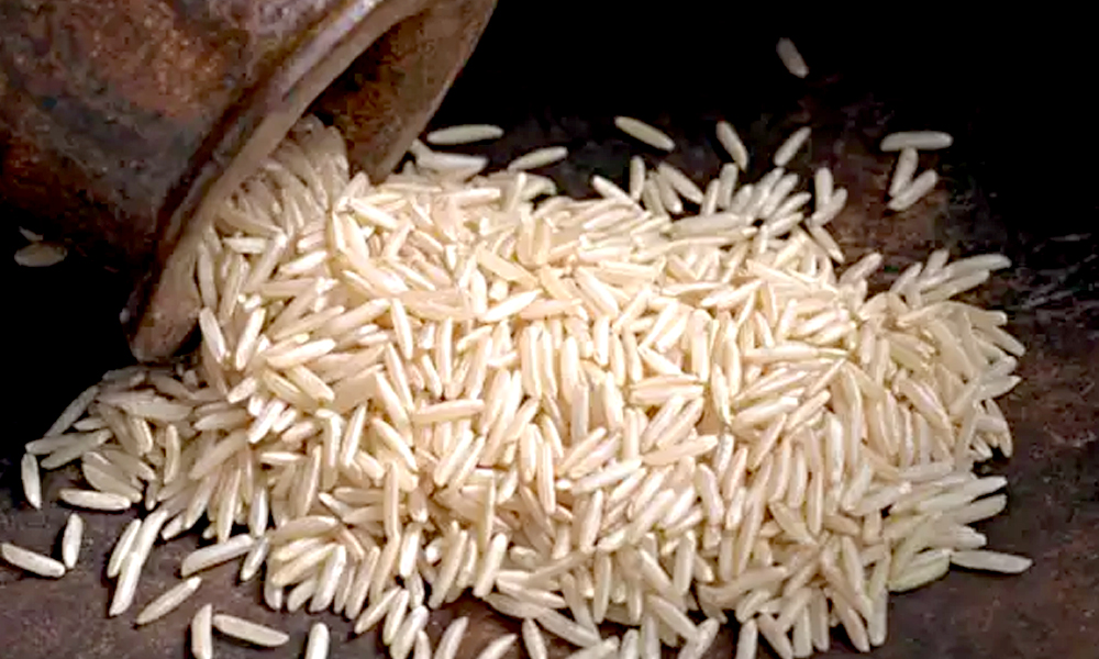 Basmati Rice Export