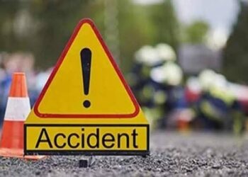 Rajasthan: রাজস্থানে নীল গরুকে বাঁচাতে গাড়ি উল্টে মৃত দুই, গুরুতর আহত একজন