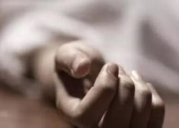 Delhi: দিল্লির ডিয়ার পার্কে গাছে জোড়া ঝুলন্ত দেহ, ছড়ালো চাঞ্চল্য