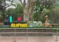Alipur Zoo: আজকের দিনেই জনসাধারণের জন্য উন্মুক্ত করা হয়েছিল আলিপুর চিড়িয়াখানা, জানুন ইতিহাস ও চিড়িয়াখানা নিয়ে বর্তমান সরকারের ভাবনা