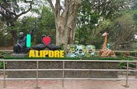 Alipur Zoo: আজকের দিনেই জনসাধারণের জন্য উন্মুক্ত করা হয়েছিল আলিপুর চিড়িয়াখানা, জানুন ইতিহাস ও চিড়িয়াখানা নিয়ে বর্তমান সরকারের ভাবনা